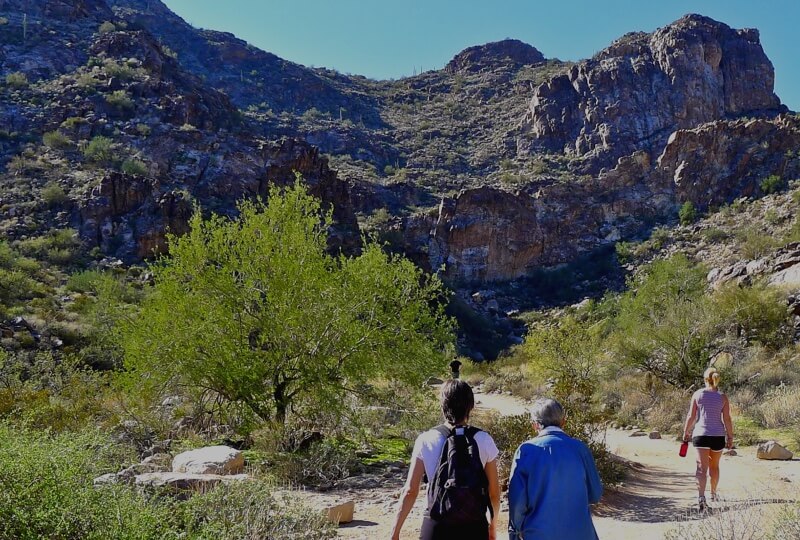 Hikers walking up a trail toward mountains