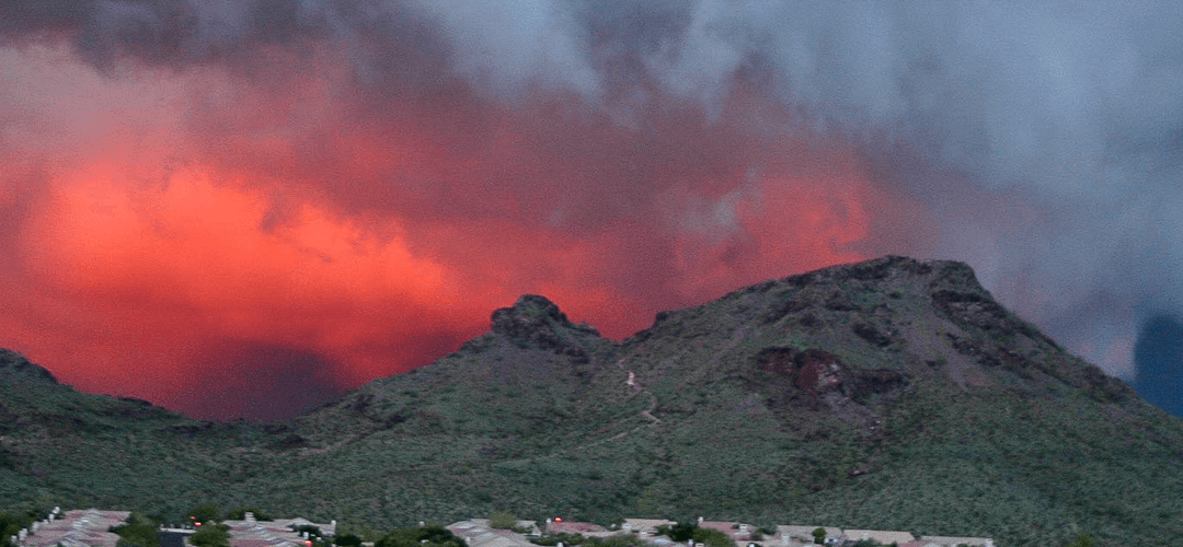Sonoran Desert: From Fire Proof to Fire Prone