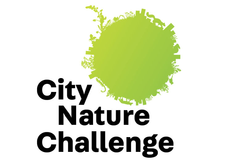 City Nature Challenge 2020