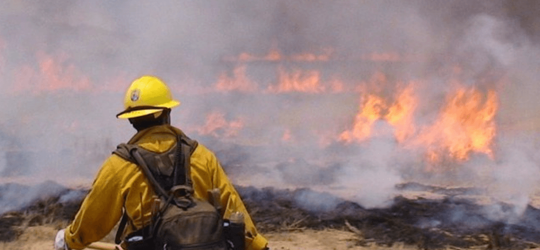 Scottsdale Fire Department Warns for Last Season’s Fire Danger