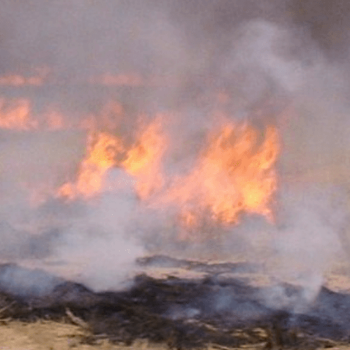 Scottsdale Fire Department Warns for Last Season’s Fire Danger