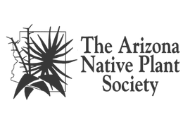 arizona parks and recreation association