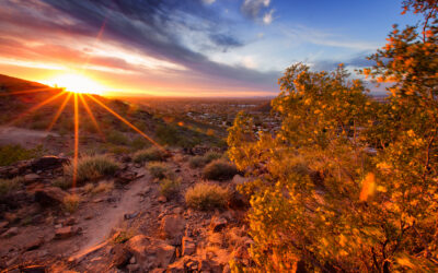 Job Opportunity with Salt River Pima Maricopa Indian Community