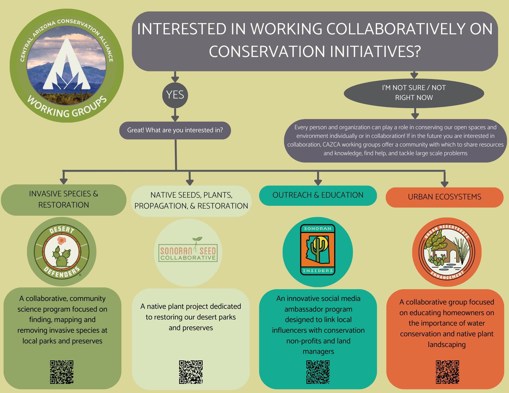 Working Group Infographic