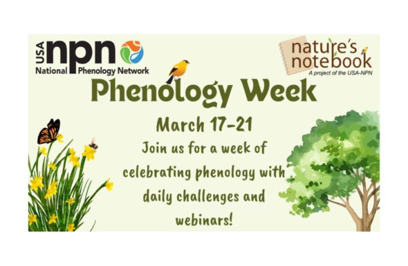 Phenology Week Featured Image