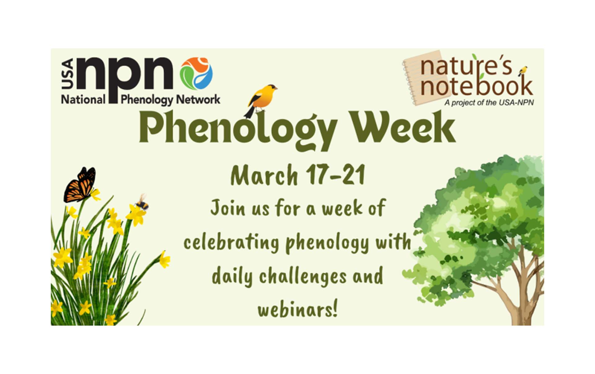 Phenology Week Featured Image