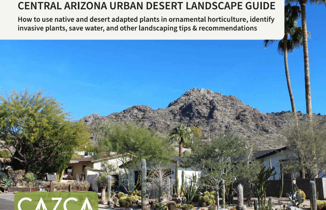 Central Arizona Urban Desert Landscape Guide