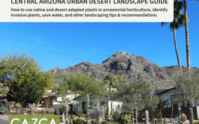 Central Arizona Urban Desert Landscape Guide