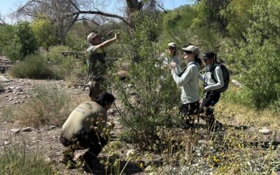 Collaborative Conservation Internship