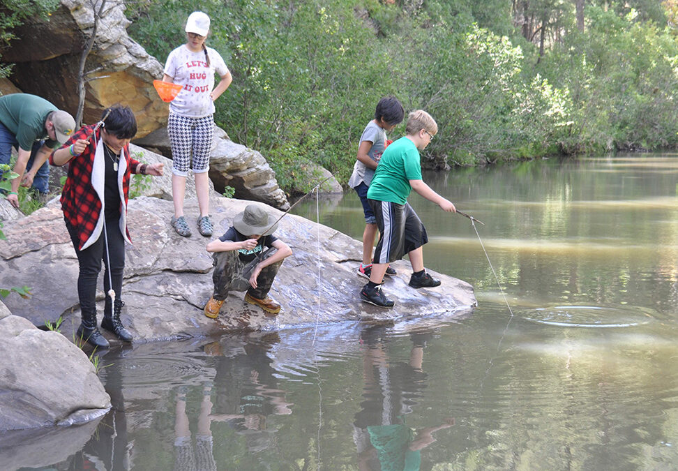 Nature in Your Backyard Family Camp