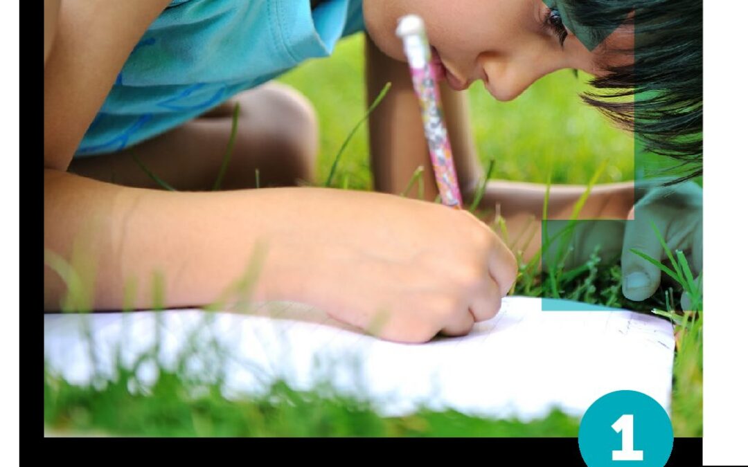 K-12 Environmental Education Guidelines for Excellence