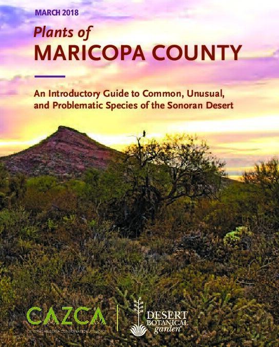 Plants of Maricopa County- an Introductory Guide to Common, Unusual, and Problematic Species of the Sonoran Desert