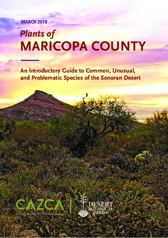 Plants of Maricopa County- an Introductory Guide to Common, Unusual, and Problematic Species of the Sonoran Desert