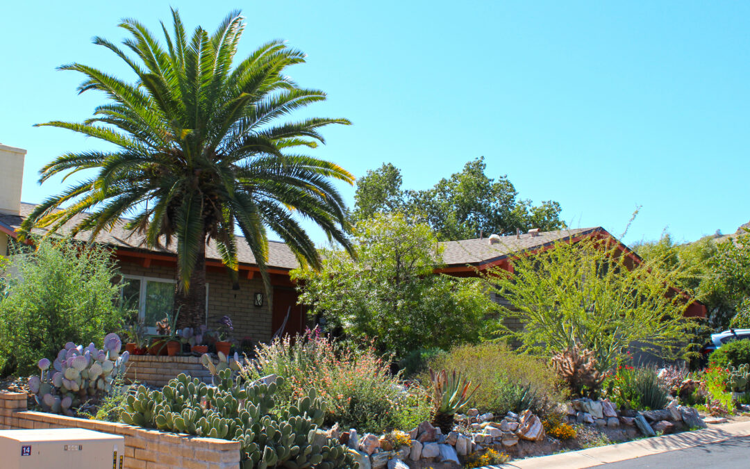 Incorporating Native Plants into your Landscape