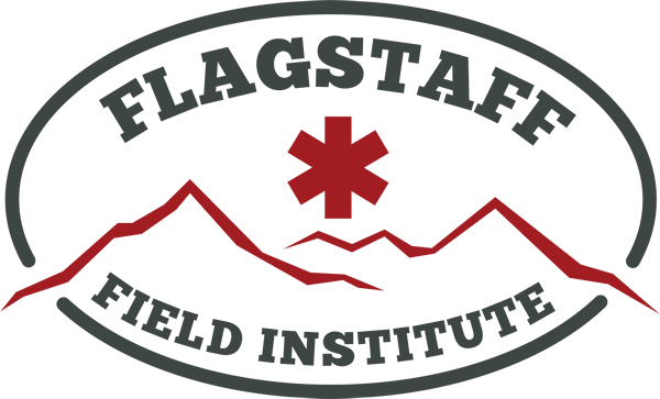 ffi_logo_600x363