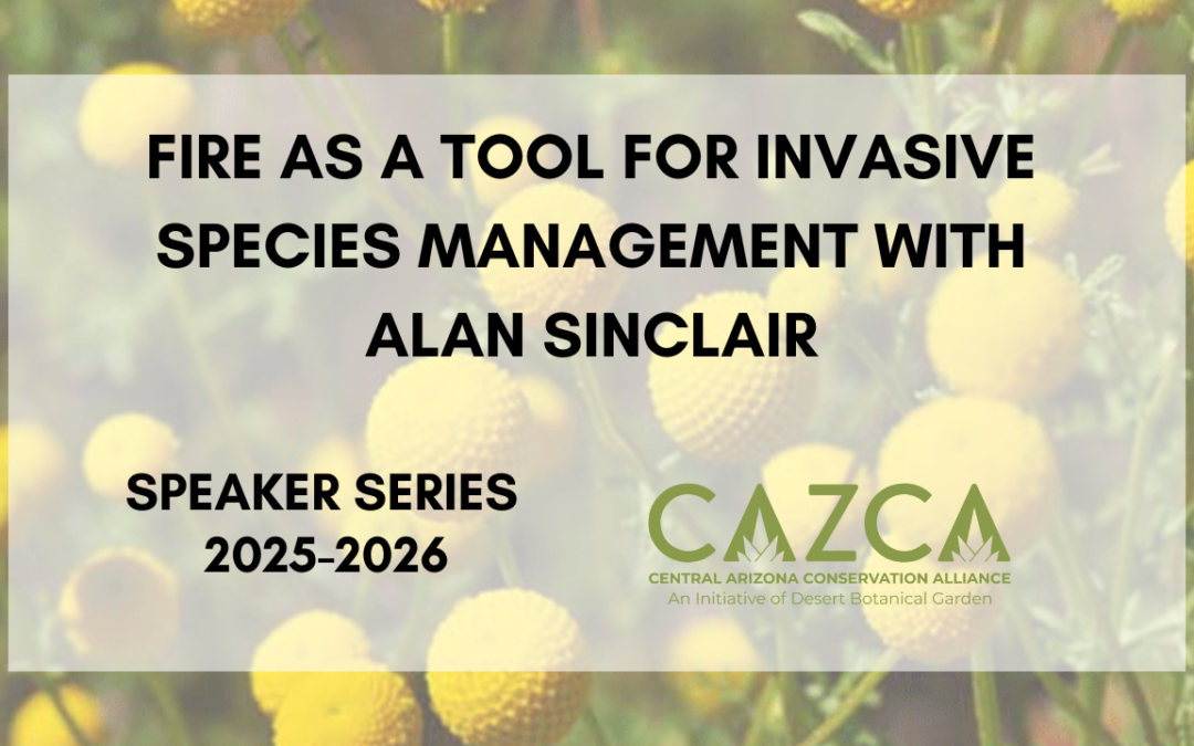 CAZCA Speaker Series – Fire as a Tool for Invasive Species Management