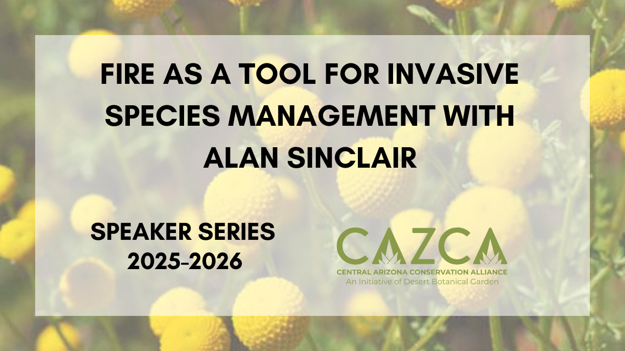 CAZCA Speaker Series – Fire as a Tool for Invasive Species Management