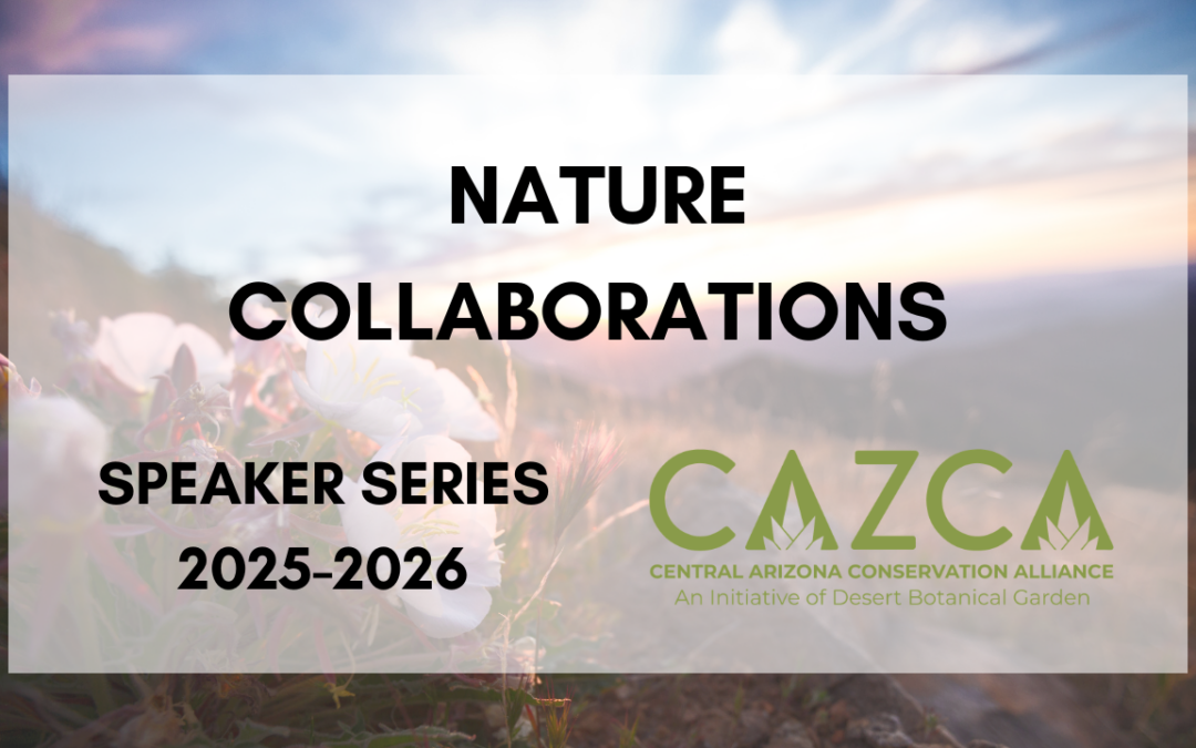 CAZCA Speaker Series – Nature Collaborations