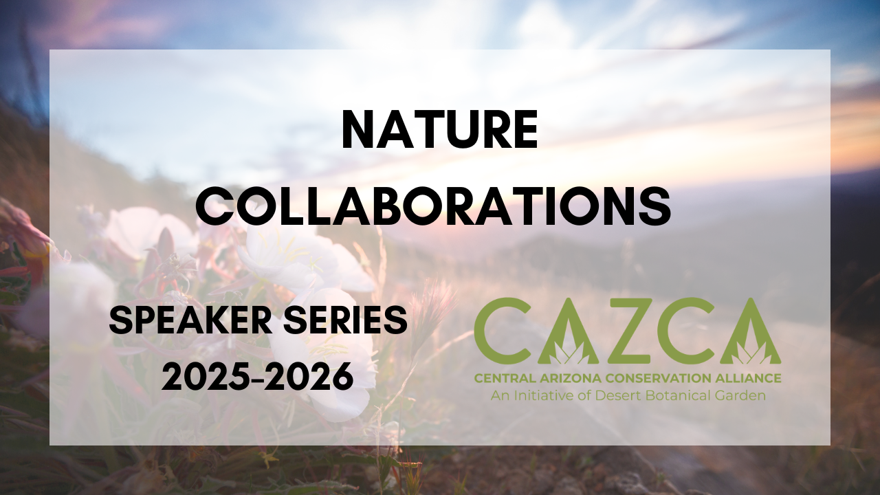 CAZCA Speaker Series – Nature Collaborations