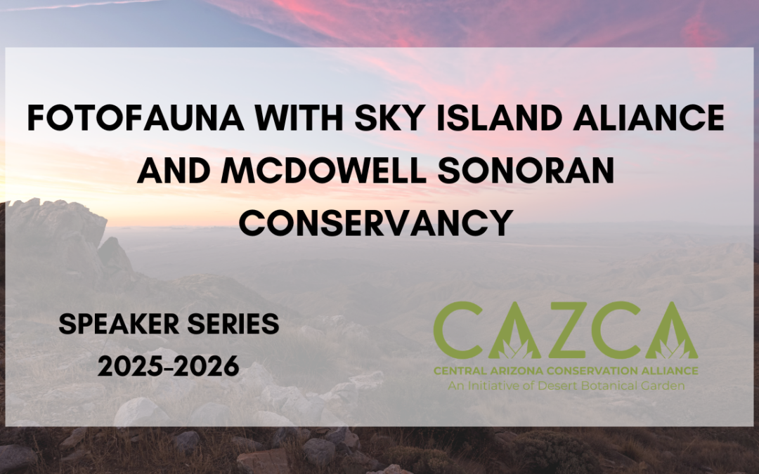 CAZCA Speaker Series – Fotofauna, with Sky Island Alliance and McDowell Sonoran Conservancy