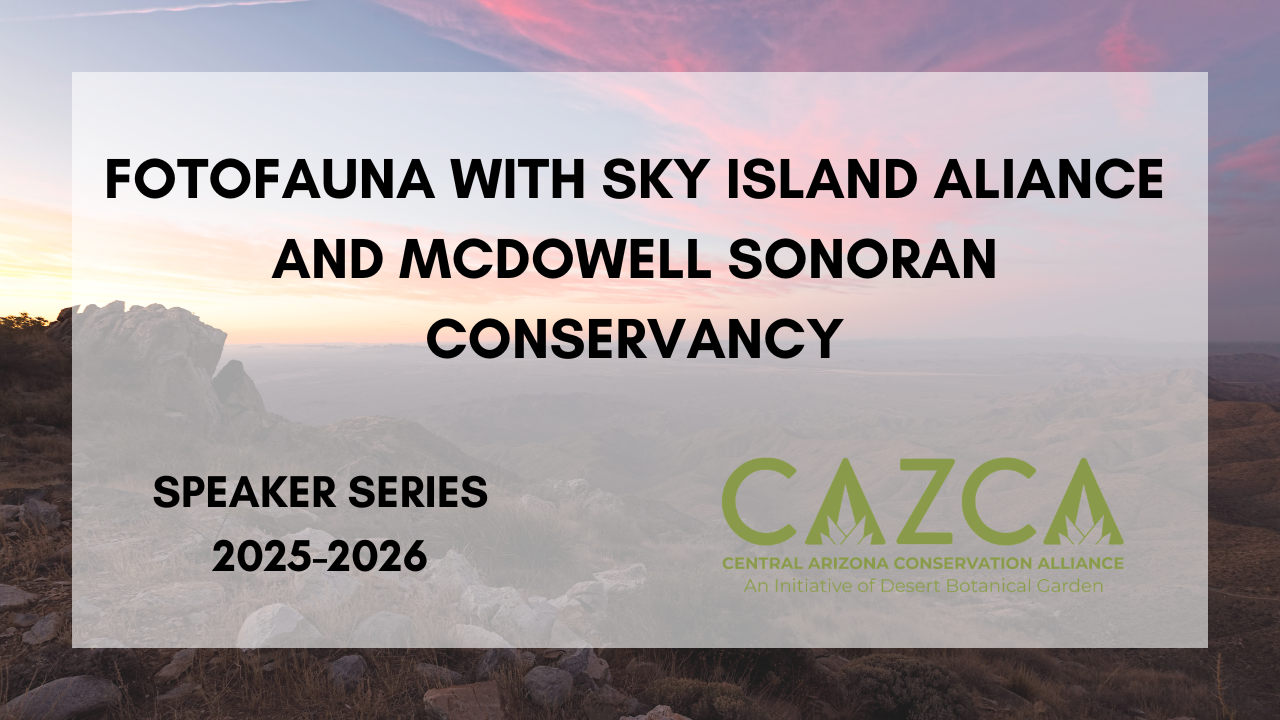 CAZCA Speaker Series – Fotofauna, with Sky Island Alliance and McDowell Sonoran Conservancy