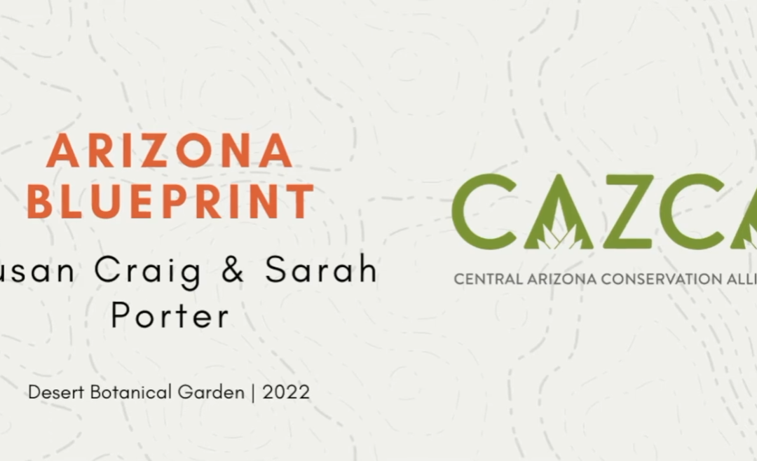 CAZCA Speaker Series: Arizona Blueprint