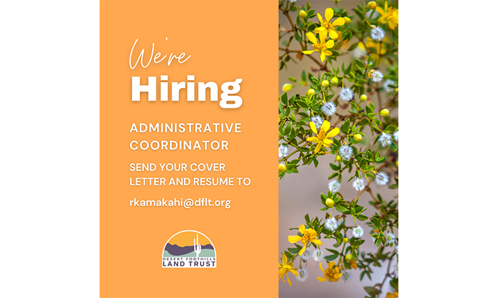 Job Opportunity with Desert Foothills Land Trust