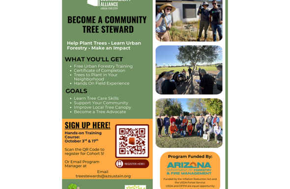 Mesa Tree Stewards featured image