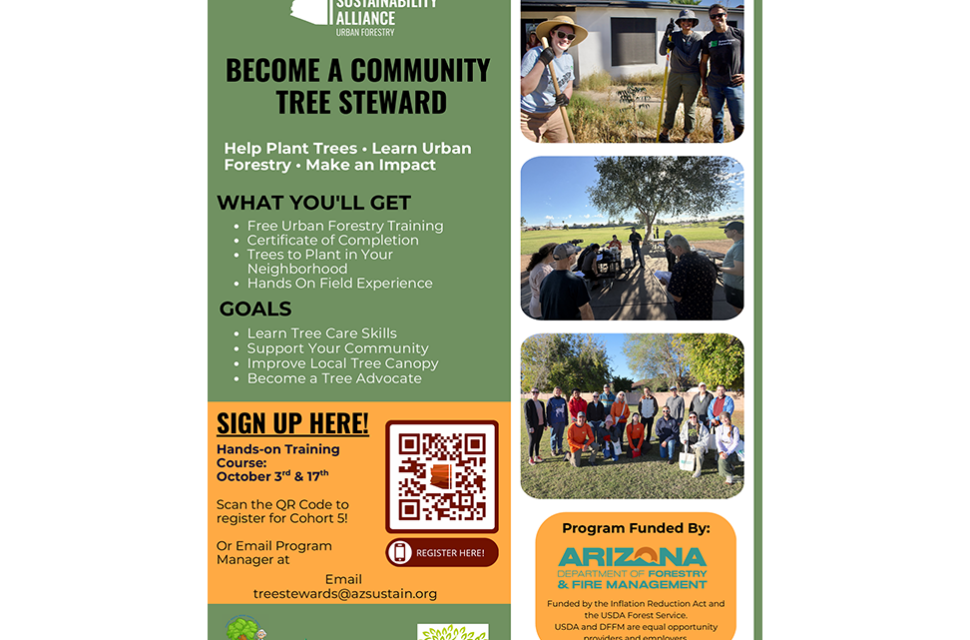 Mesa Tree Stewards featured image