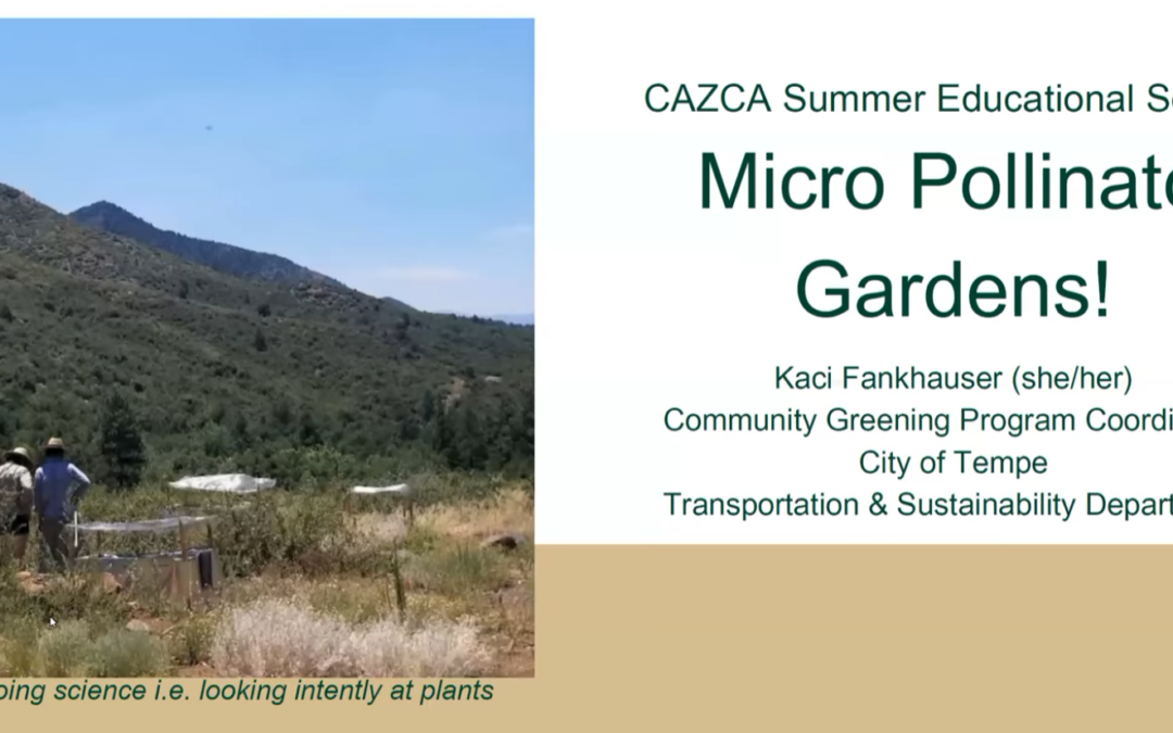 CAZCA Summer Education Series: Micro Pollinator Gardens