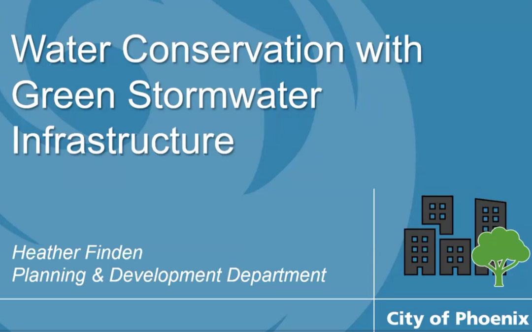Summer Education Series: Water Conservation