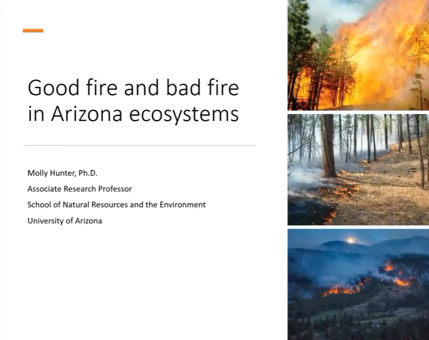 CAZCA Speaker Series: Wildfire in the Desert