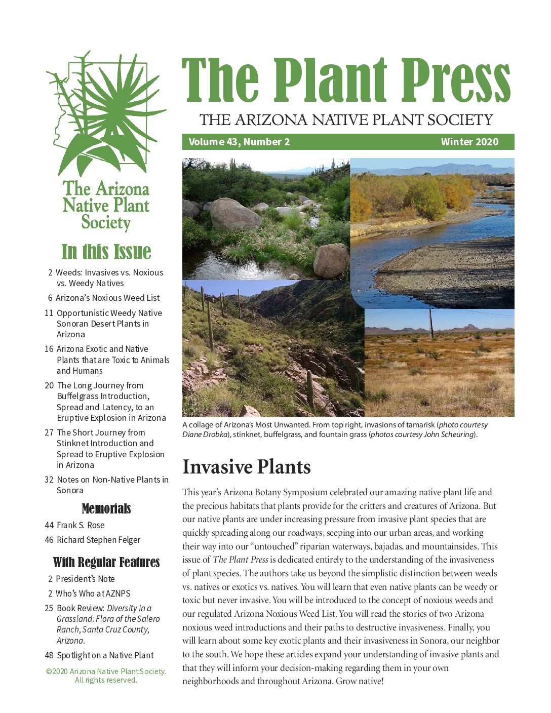 Arizona Native Plant Society – Plant Press Vol 32 No 2- Invasive Plants