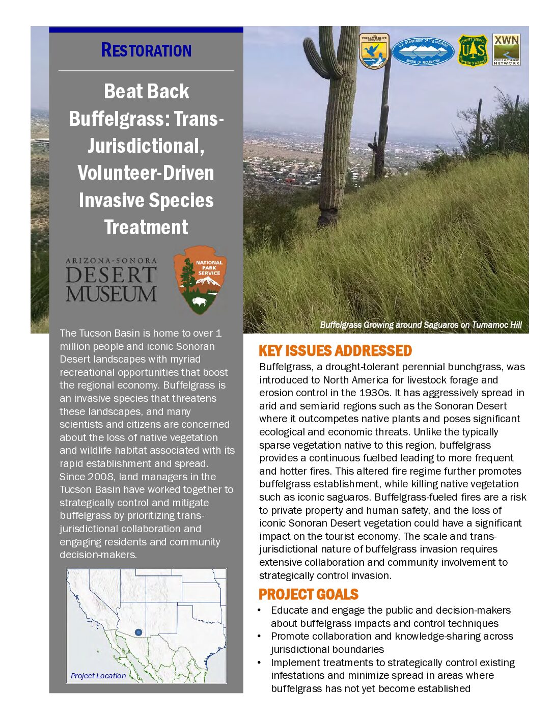 Beat Back Buffelgrass: Trans-Jurisdictional, Volunteer-Drive Invasive Species Treatment