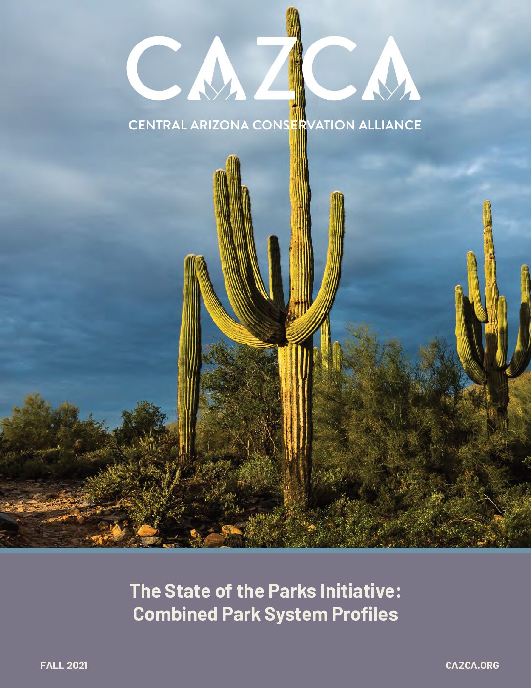 The State of the Parks Initiative: Combined Park System Profiles