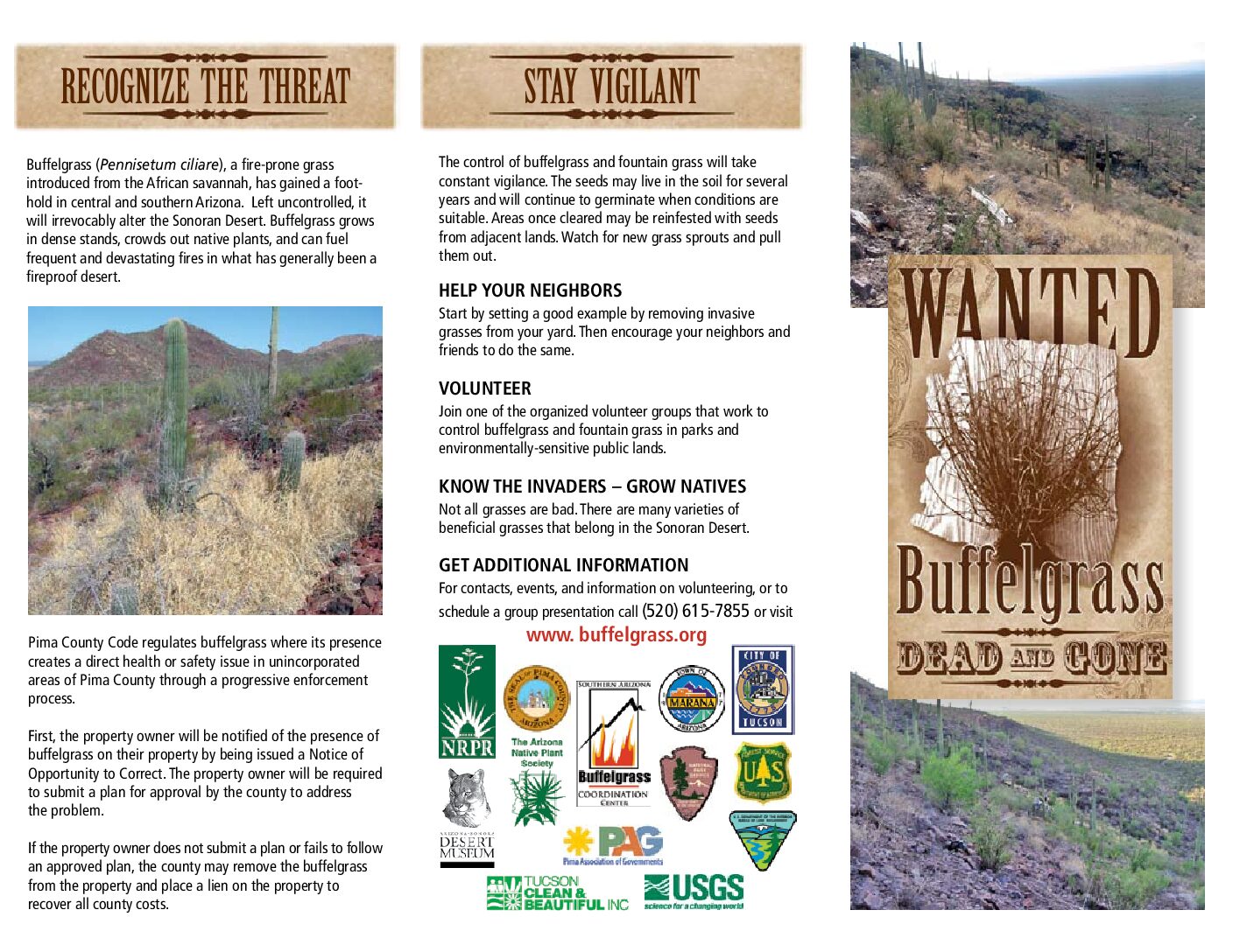 Bufflegrass trifold brochure – English
