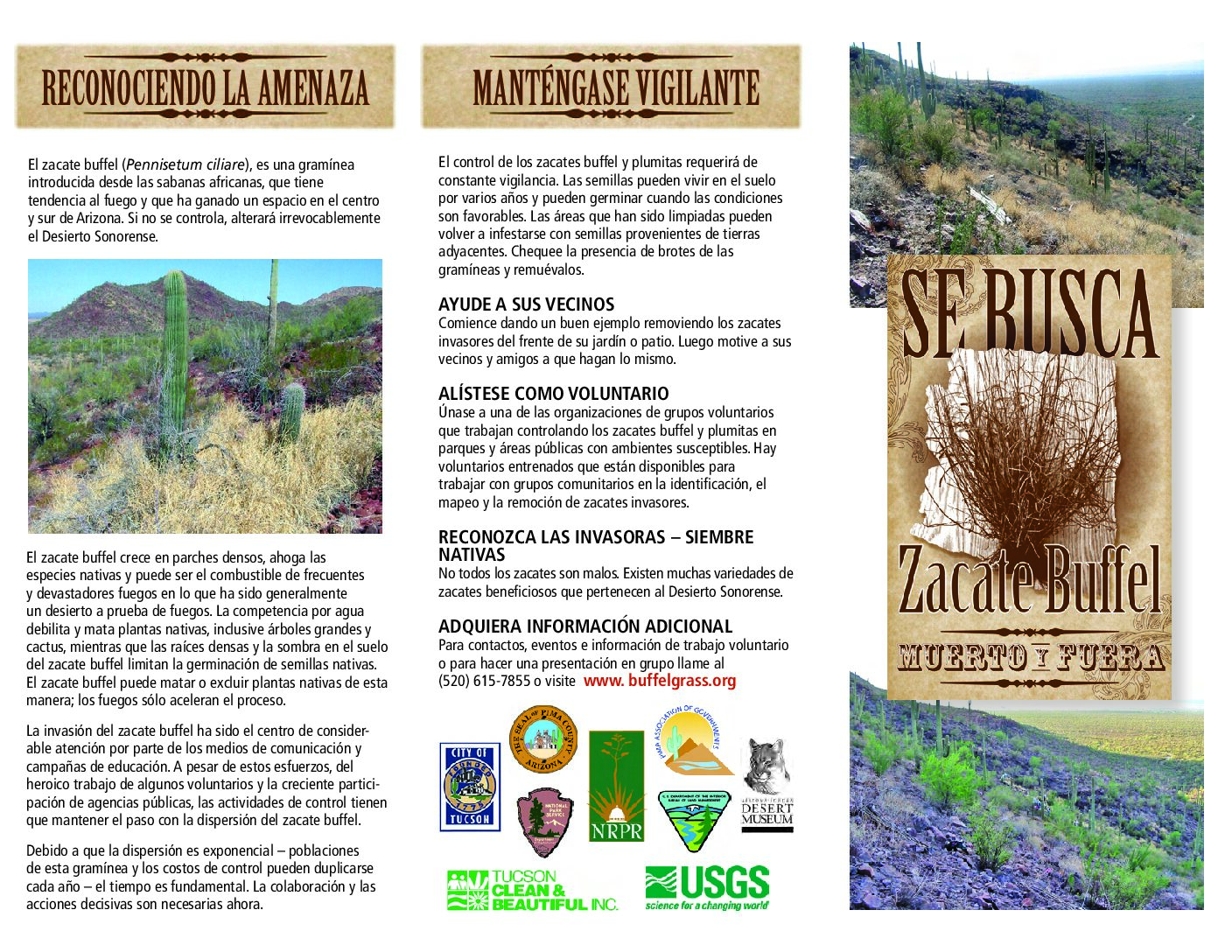 Bufflegrass trifold brochure – Spanish