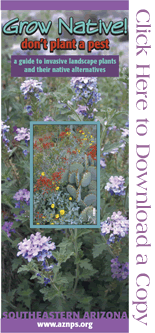 Grow Native! Arizona Native Plant Society