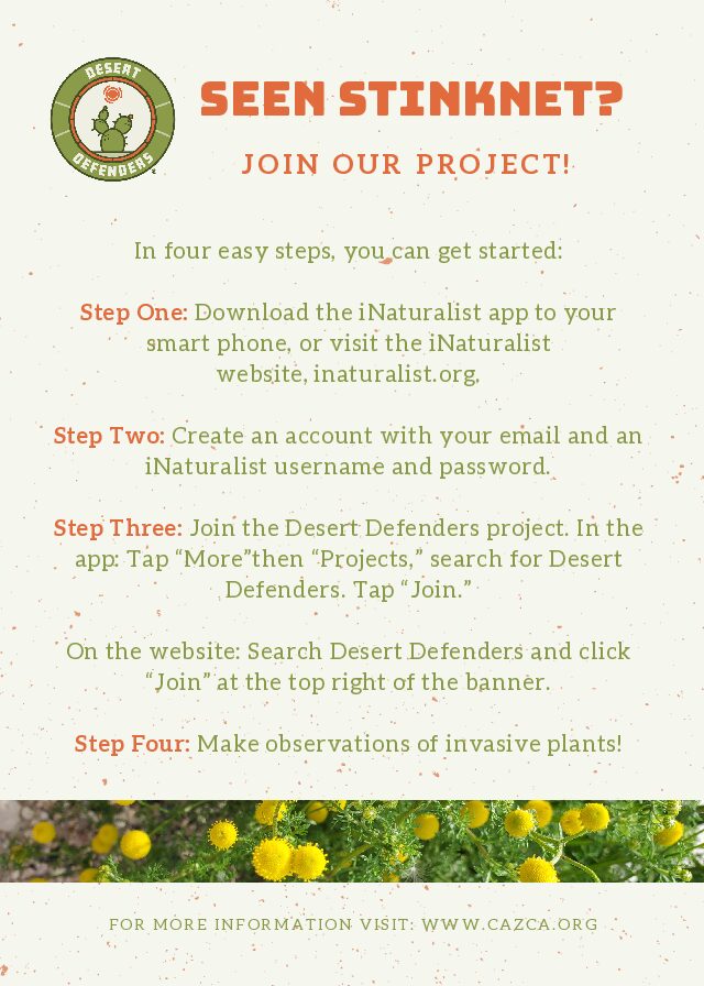 Desert Defenders iNaturalist Instructions